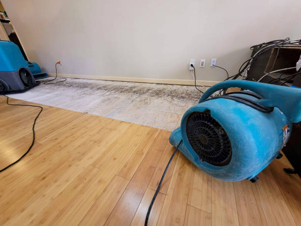 Professional Water Damage Repair technician working in Tranquillity, CA